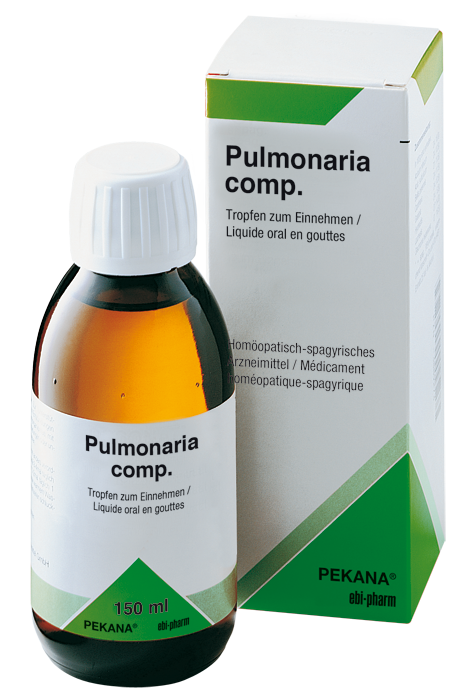 Produkt Bild zu Pulmonaria comp.